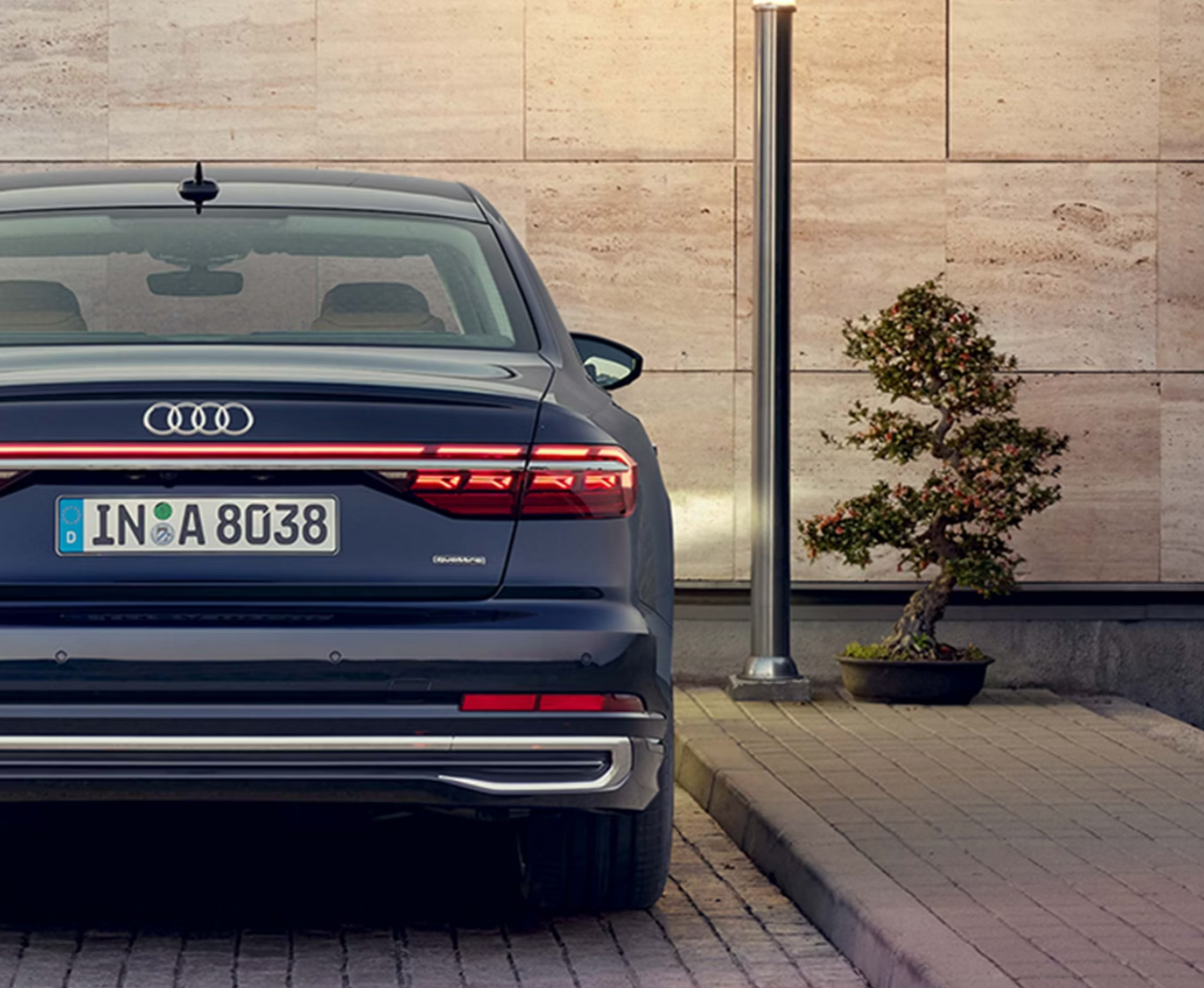 Điểm nhấn đặc biệt