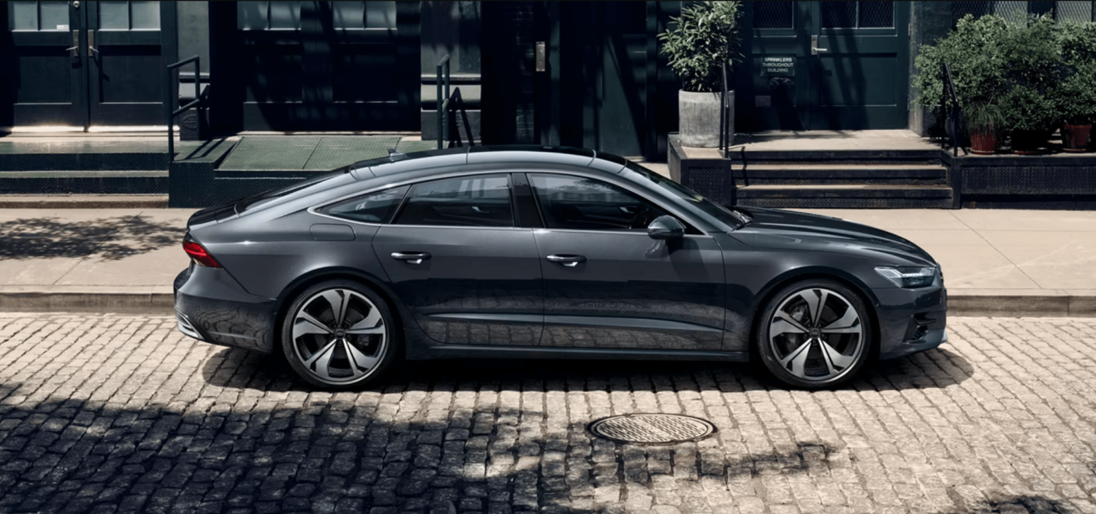 Vẻ đẹp năng động đầy cuốn hút: